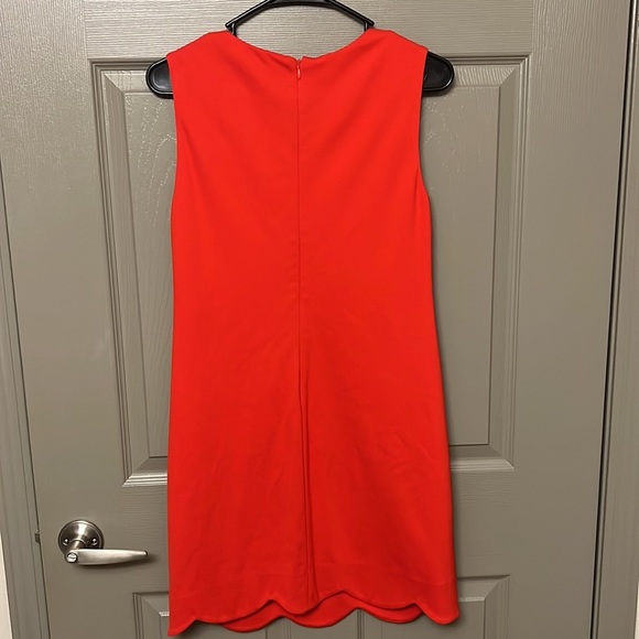 Cynthia Steffe Red Mini Dress - Picture 7 of 7